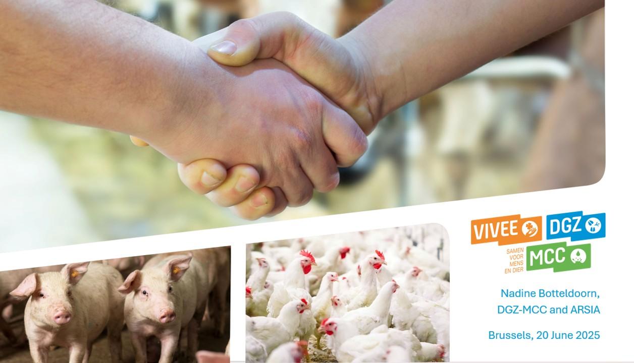 Antibiotic resistance in the picture: trends in cattle, pigs and poultry production in Belgium (Nadine Botteldoorn, DGZ-MCC and ARSIA) Antibiotic resistance in the picture: trends in cattle, pigs and poultry production in Belgium (Nadine Botteldoorn, DGZ-MCC and ARSIA)