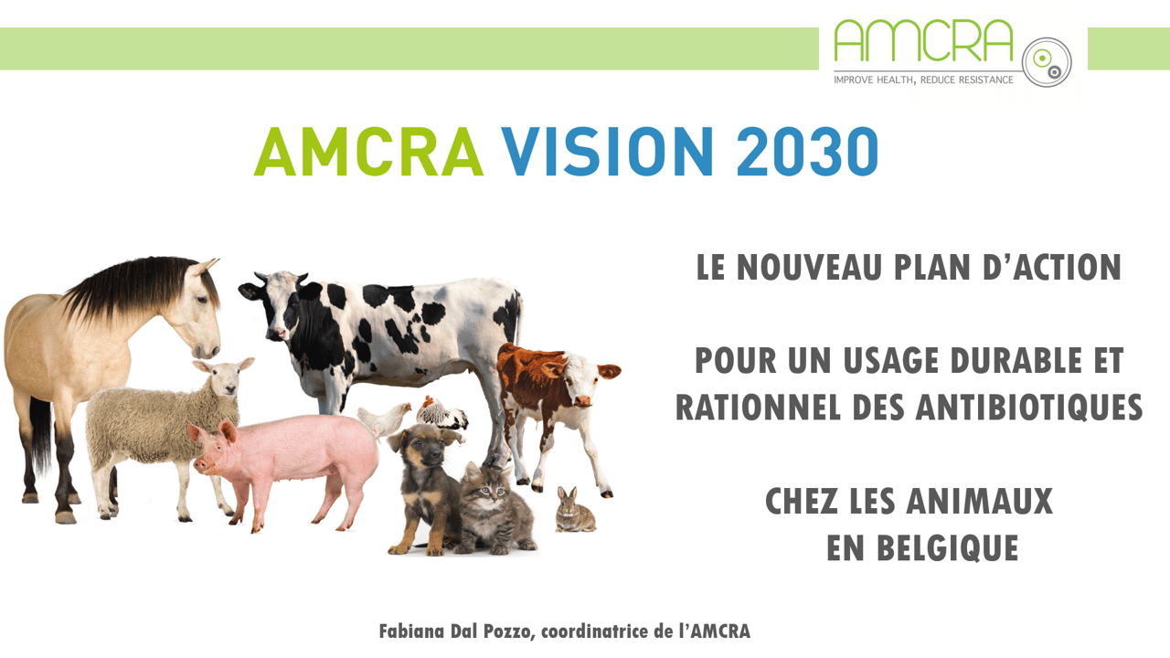 Vision 2030, le nouveau plan d’action d’AMCRA pour un usage durable et rationnel des antibiotiques chez les animaux en Belgique Vision 2030, le nouveau plan d’action d’AMCRA pour un usage durable et rationnel des antibiotiques chez les animaux en Belgique