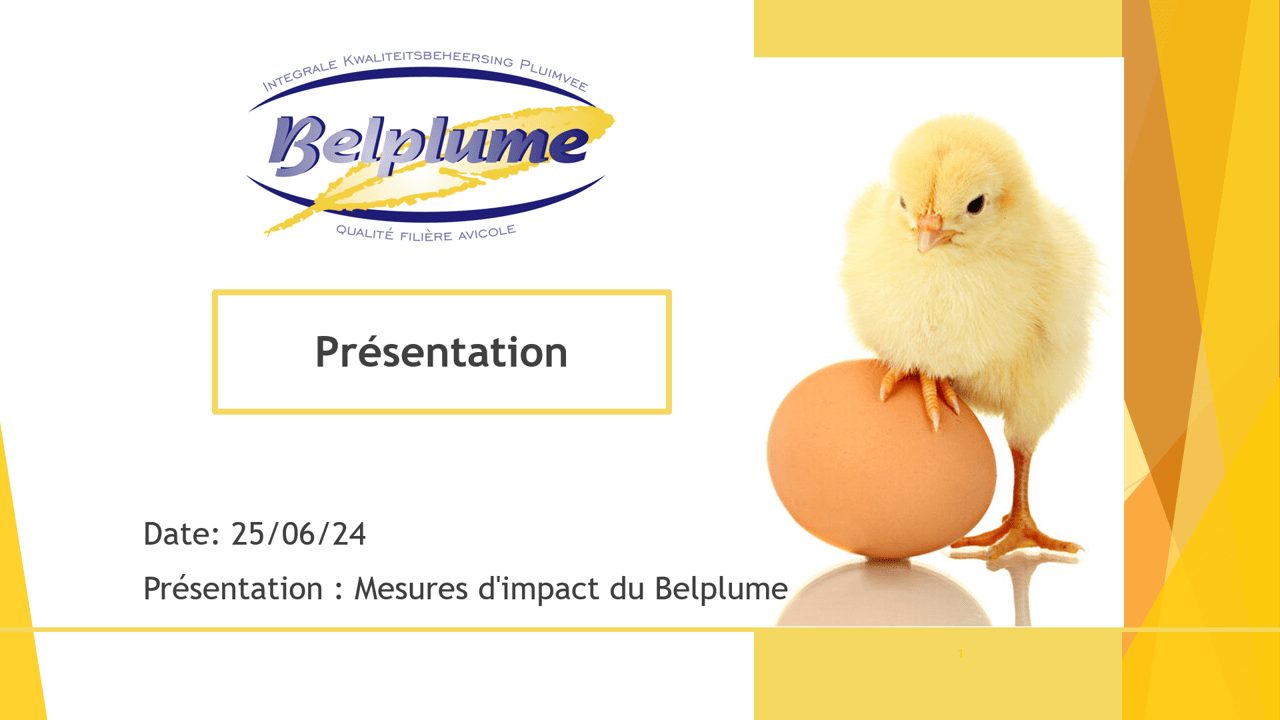 L’impact au cours du temps des initiatives de Belplume sur l’usage des antibiotiques chez la volaille L’impact au cours du temps des initiatives de Belplume sur l’usage des antibiotiques chez la volaille