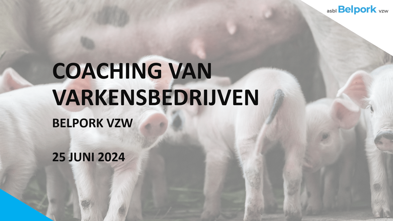 Ervaring met coaching van varkensbedrijven bij Belpork vzw Ervaring met coaching van varkensbedrijven bij Belpork vzw