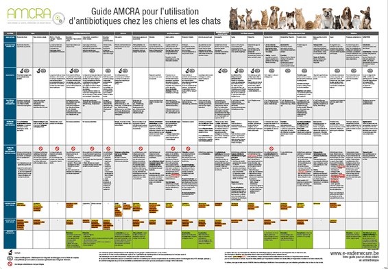 L'intégralité du Guide AMCRA pour l’utilisation d’antibiotiques chez les chiens et les chats est accessible via www.e-formularium.be .